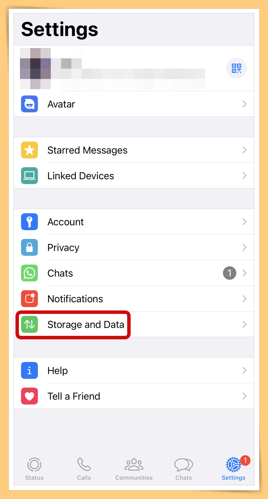 WhatsApp Storage and Data